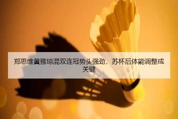 zheng-si-wei-huang-ya-qiong-hun-shuang-lian-guan-shi-tou-qiang-jing-su-bei-hou-ti-neng-tiao-zheng-cheng-guan-jian-2-155.jpg