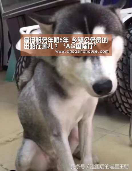 
最低服务年限5年 乡镇公务员的出路在哪儿？‘AG国际厅’