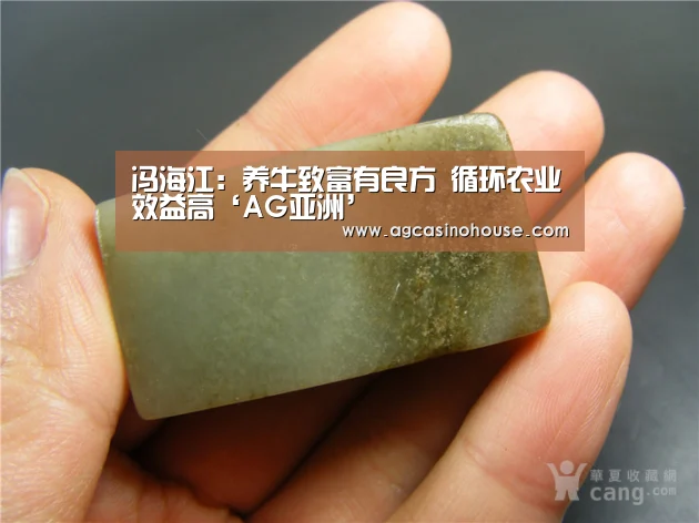 冯海江:养牛致富有良方 循环农业效益高‘AG亚洲’(图4) AG电竞